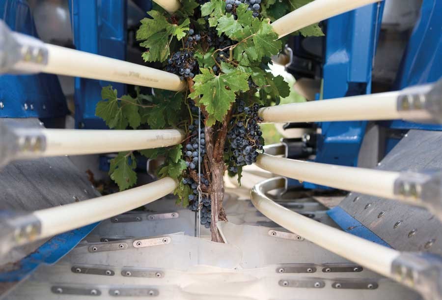 Combi grape New Holland CEVIT