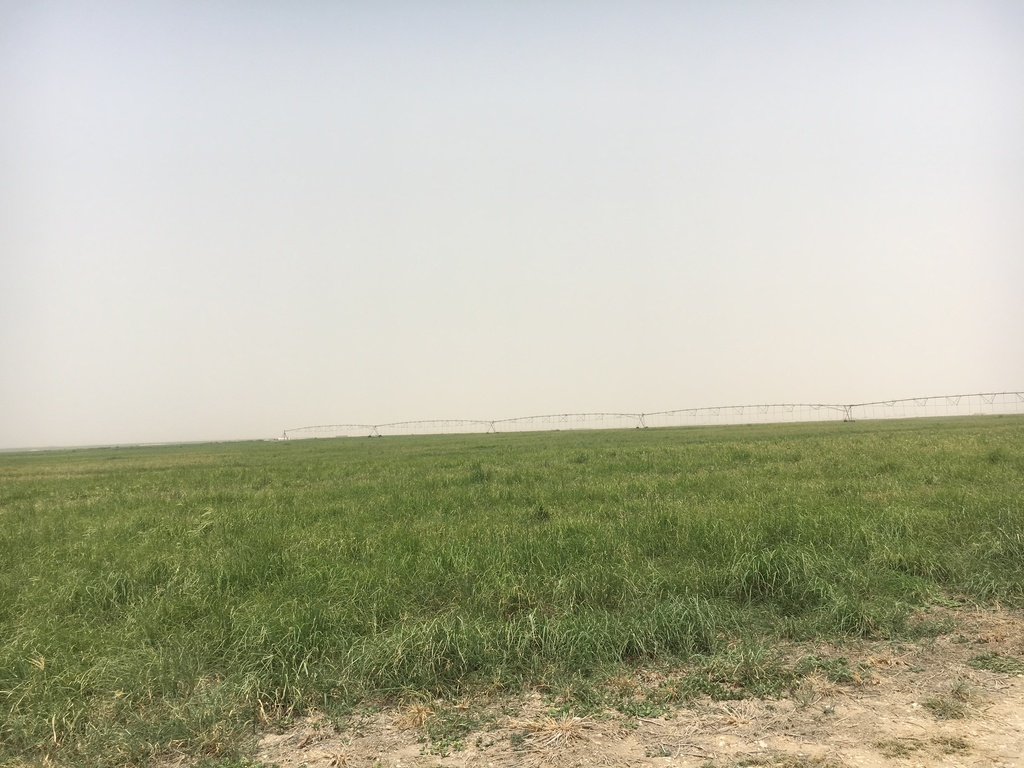 ITT AGriculture machinery delivery in Qatar 